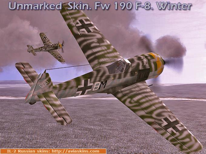 Unmarked  Skin. Fw 190 F-8. Winter